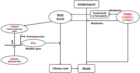 ��ҳ|ng������Ϸ�й����Źٷ���վ