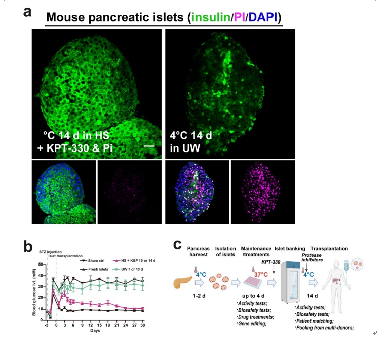 2E927807A4E98E484BB2AF574FC_B5416F72_71674