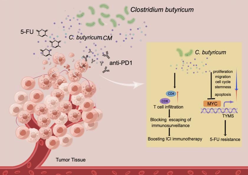 2BDCB9A03054EE36441E5811DFA_EC94B2CD_CB6D