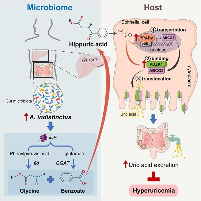 8CF4067B43BE1AF48F7AD7405AF_795B7D24_F4F9