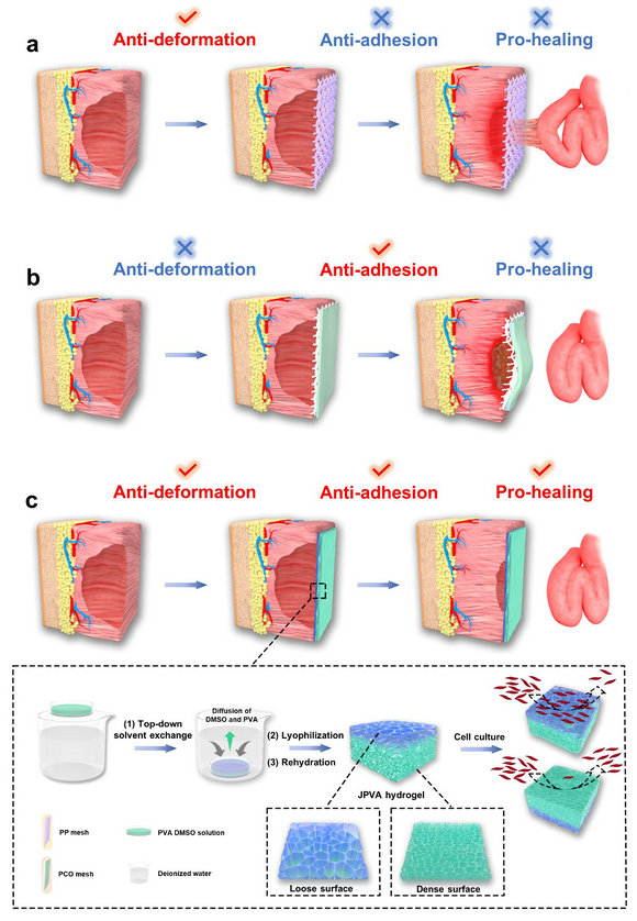 ��ҳ|ng������Ϸ�й����Źٷ���վ