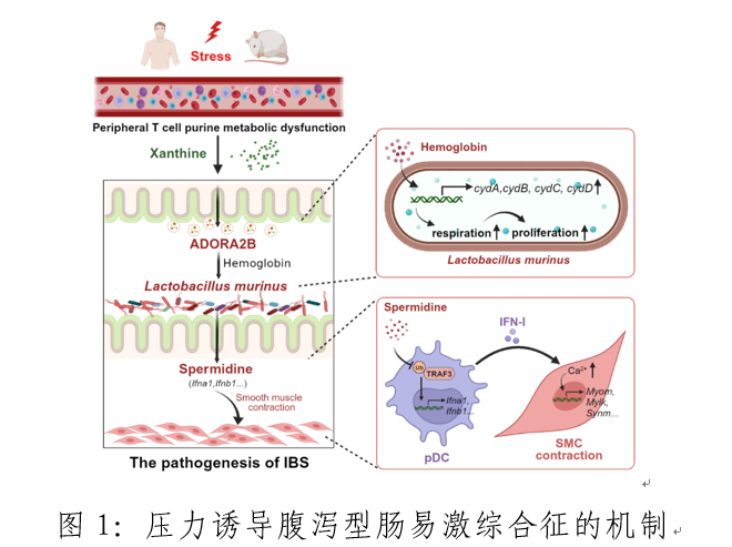 B321B48D84F238D427FC0388120_5077E7D2_2009B B321B48D84F238D427FC0388120_5077E7D2_2009B