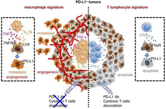 ��ҳ|ng������Ϸ�й����Źٷ���վ