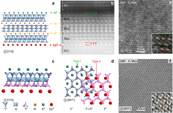 ��ҳ|ng������Ϸ�й����Źٷ���վ