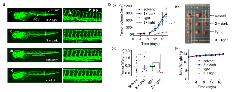 ��ҳ|ng������Ϸ�й����Źٷ���վ