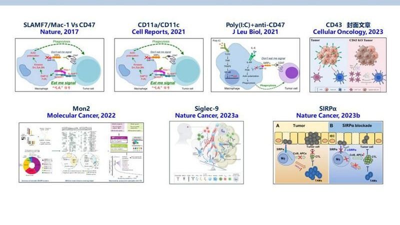 ��ҳ|ng������Ϸ�й����Źٷ���վ