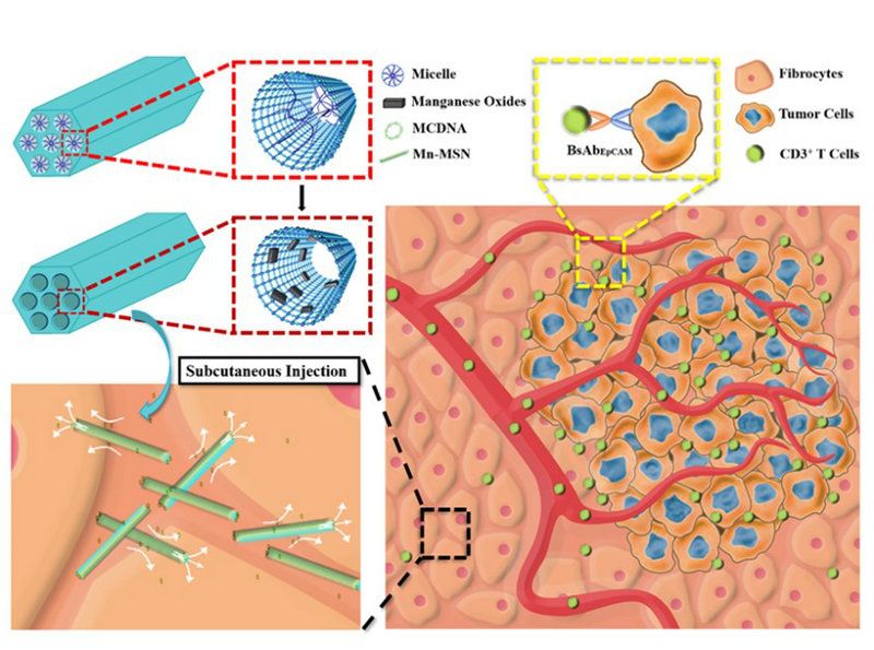 02CC785BDCBD875A763F4AC57DD_C2F2C793_1644C