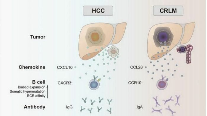 ��ҳ|ng������Ϸ�й����Źٷ���վ