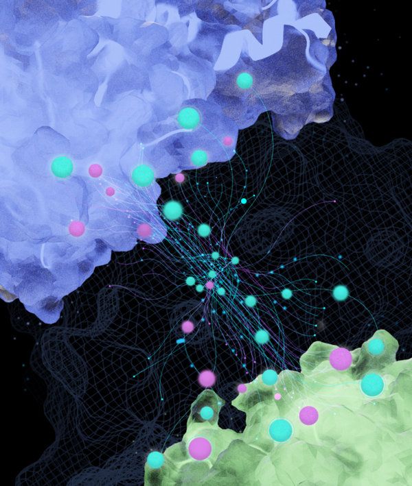 83C7C9985381574D16E22759541_75263080_15437