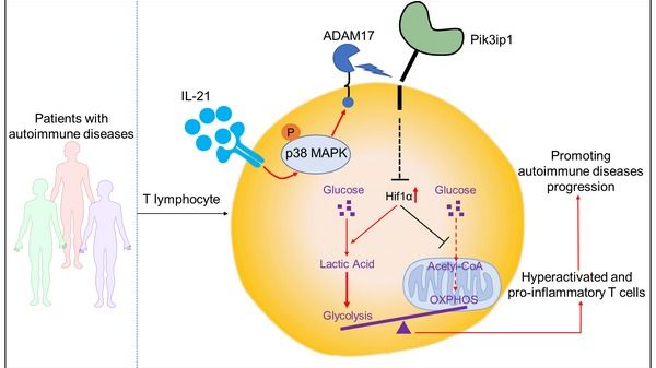 ��ҳ|ng������Ϸ�й����Źٷ���վ