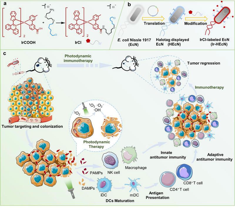 50E310977EC7020451ECFAE636C_0A278F45_1A401