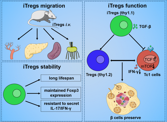 ��ҳ|ng������Ϸ�й����Źٷ���վ