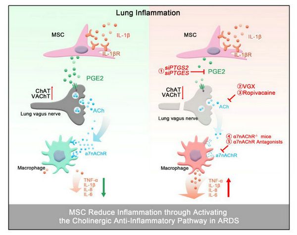 AC61B08DE595EEFA3402FEEED65_202777BC_9D73