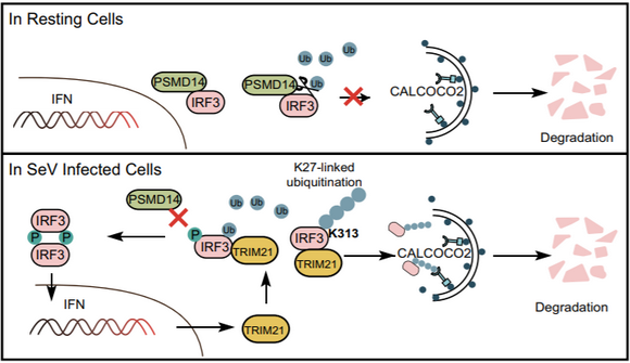 ��ҳ|ng������Ϸ�й����Źٷ���վ