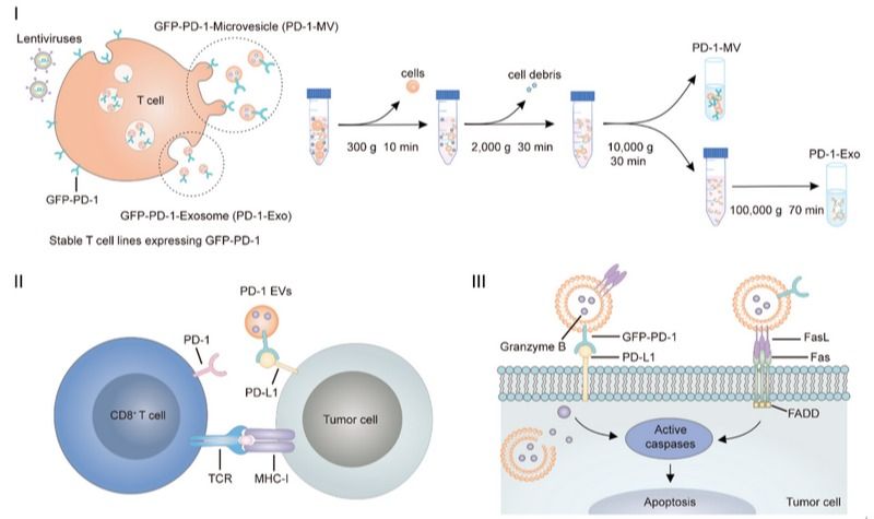 ��ҳ|ng������Ϸ�й����Źٷ���վ