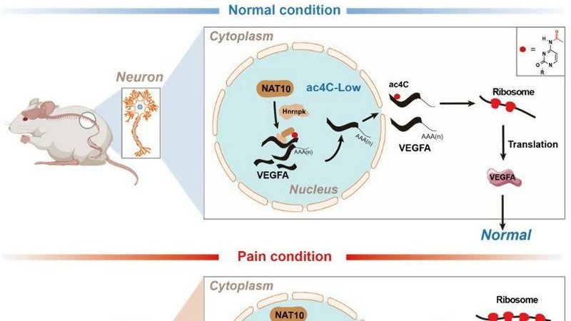 ��ҳ|ng������Ϸ�й����Źٷ���վ