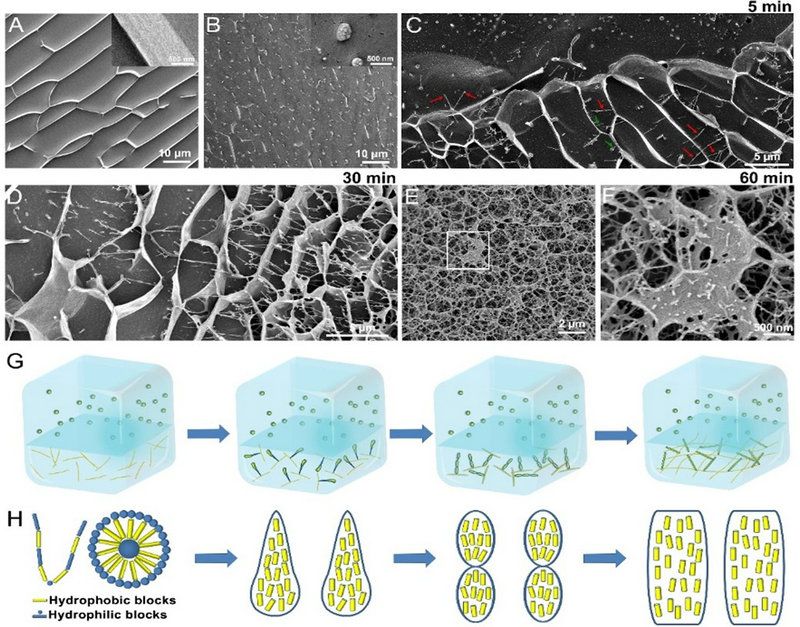 1FC38EC9B58A6997F05081F6684_C2FD53FF_20934