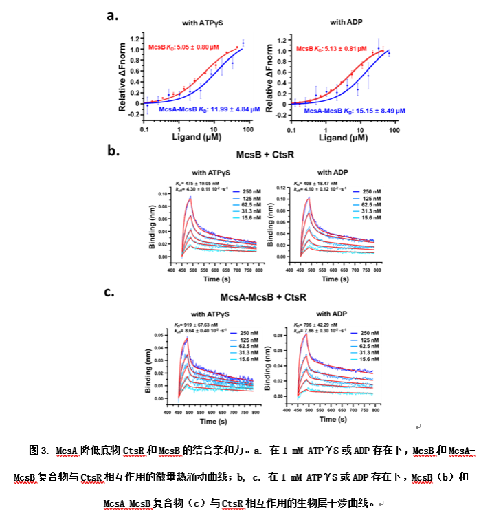 EBD18BF91F9E819D8AB39211C57_07A7016F_264FE