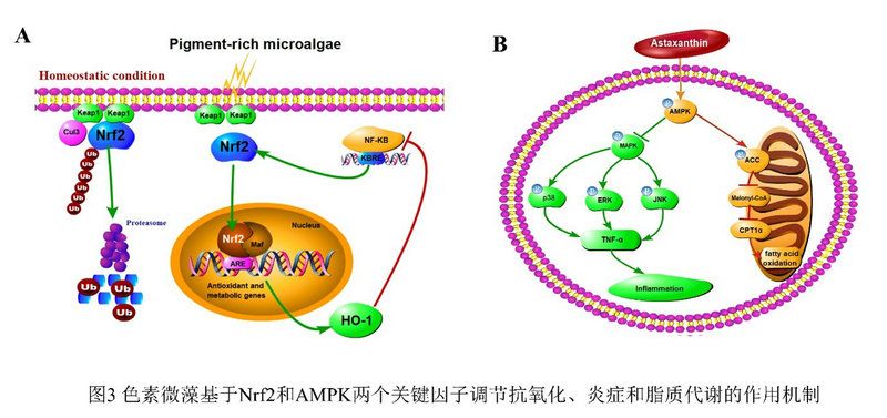 740266ED77AB99DF7C71AE8262A_827A69A2_ED58 740266ED77AB99DF7C71AE8262A_827A69A2_ED58