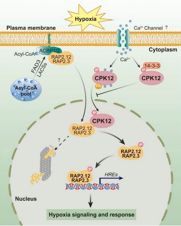 C45AB2159478378FA206CC90937_CDB920F3_EBE5