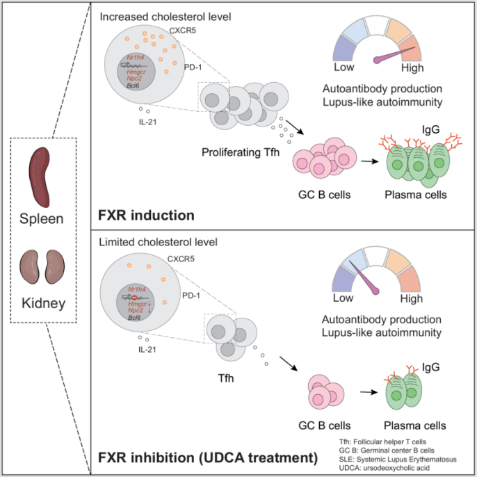 268D029F554CA64CF0E3894FF42_91FEE924_2A478 268D029F554CA64CF0E3894FF42_91FEE924_2A478