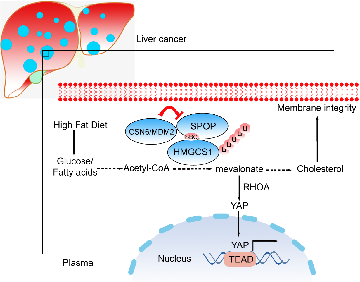 ��ҳ|ng������Ϸ�й����Źٷ���վ