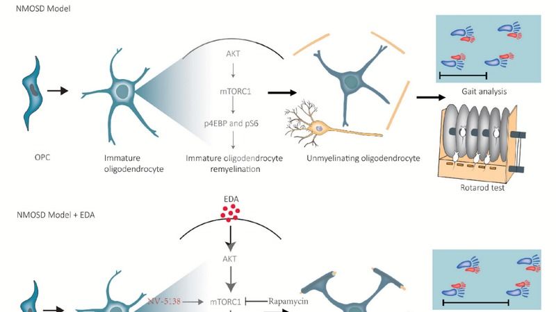 ��ҳ|ng������Ϸ�й����Źٷ���վ
