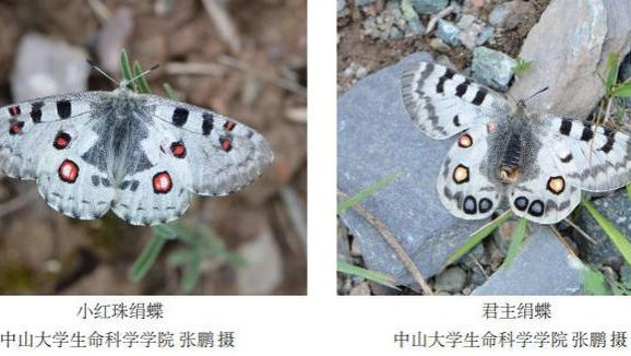 ��ҳ|ng������Ϸ�й����Źٷ���վ