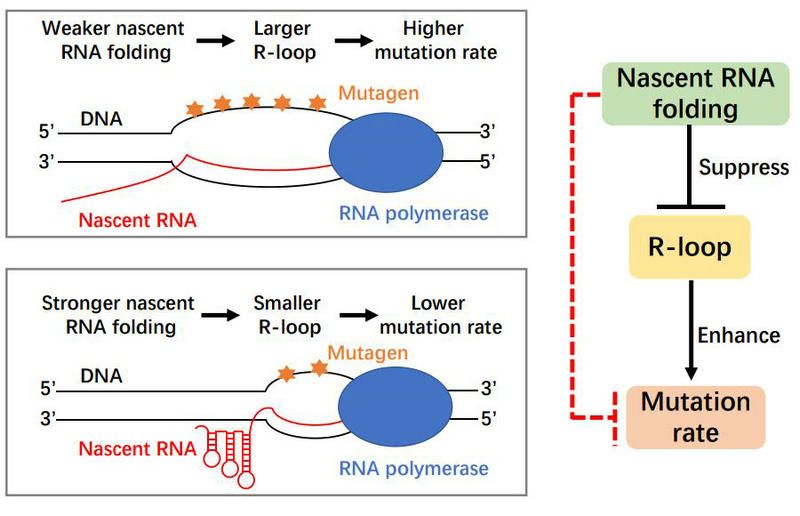 6E7945DDE0FC03AB03EED92F71A_2CAB112B_E654