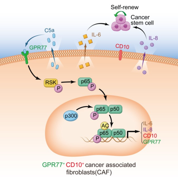 ��ҳ|ng������Ϸ�й����Źٷ���վ