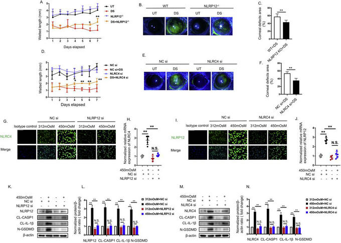 ��ҳ|ng������Ϸ�й����Źٷ���վ