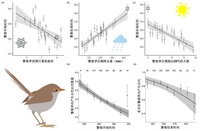 ��ҳ|ng������Ϸ�й����Źٷ���վ