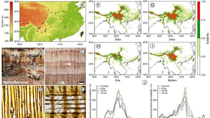 ��ҳ|ng������Ϸ�й����Źٷ���վ