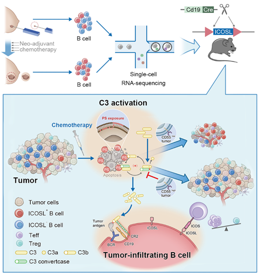 ��ҳ|ng������Ϸ�й����Źٷ���վ