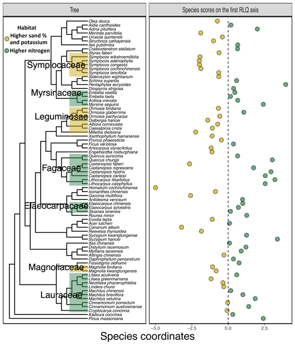 ��ҳ|ng������Ϸ�й����Źٷ���վ