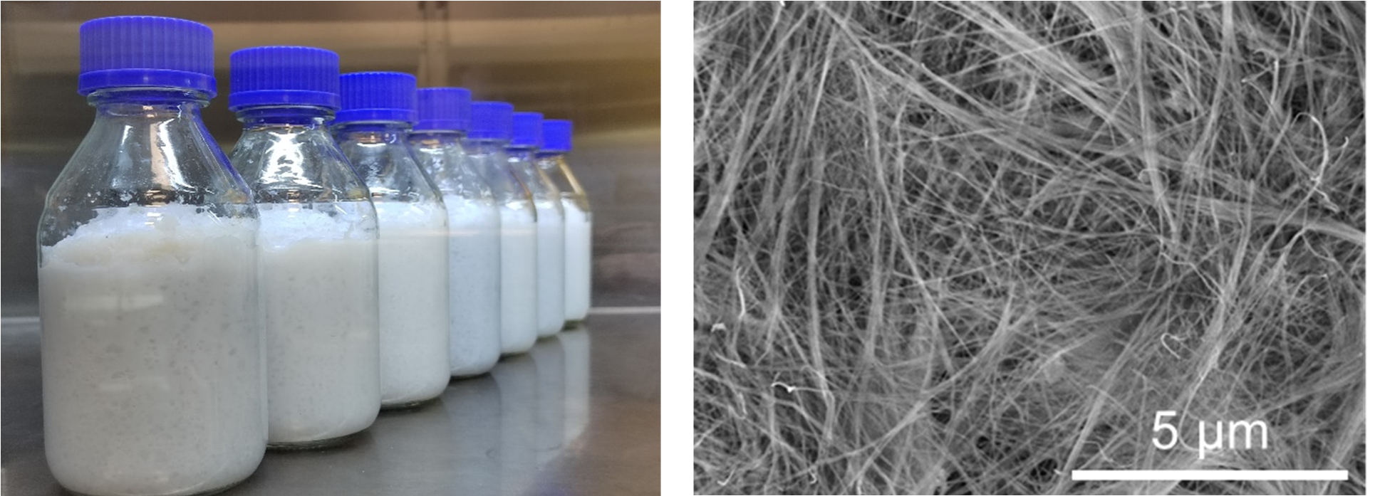 0DD668D764E46C02B5F05DBE5D1_9467082E_1CB17F