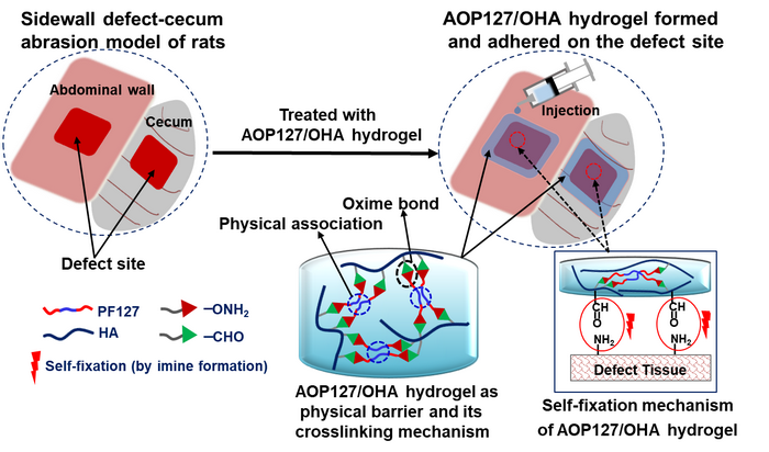 00AC3572A6D65601FAAB2ABF69D_13144367_2F5F7