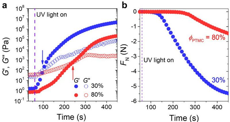 AA5FD2B3C57AE7B9E5ED8E61593_239AF267_DE86