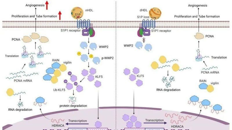 ��ҳ|ng������Ϸ�й����Źٷ���վ