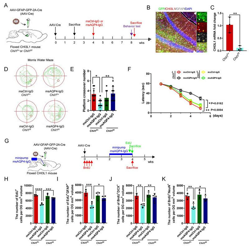 059BAEA085B71ABB863C08E7D7A_5270F235_1A623