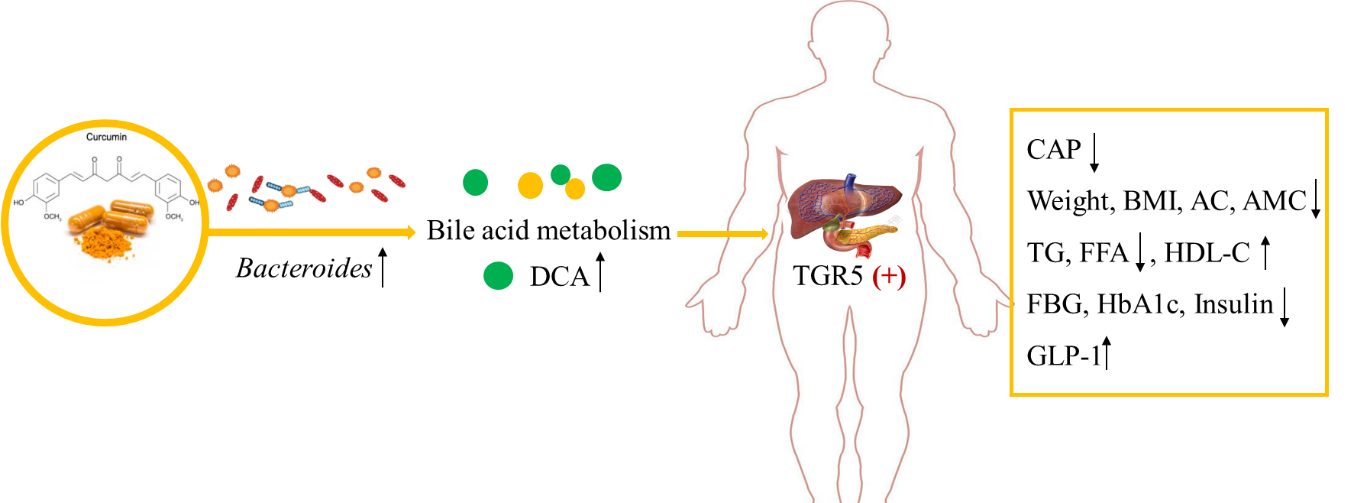 B21DD1CE304A0DC145C731AA57F_DFA6723A_2B553