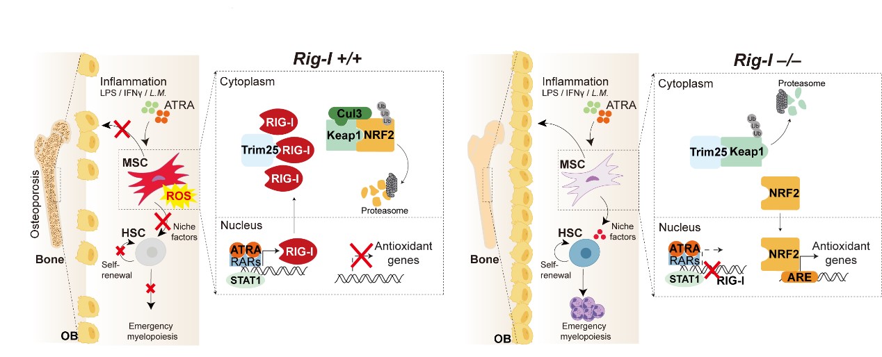 ��ҳ|ng������Ϸ�й����Źٷ���վ