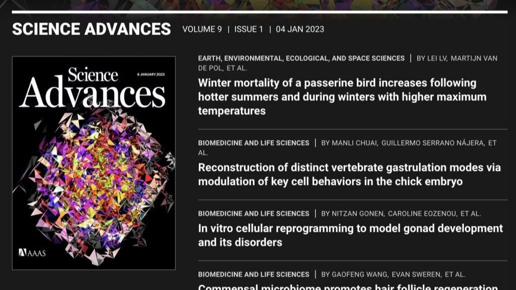 ��ҳ|ng������Ϸ�й����Źٷ���վ