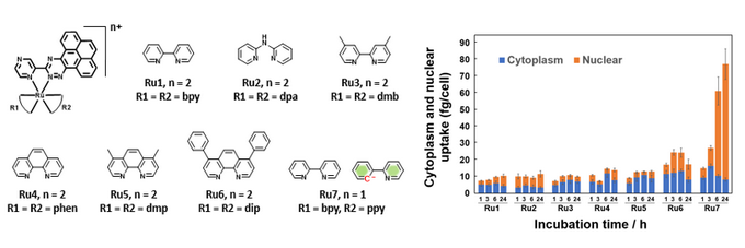 ��ҳ|ng������Ϸ�й����Źٷ���վ