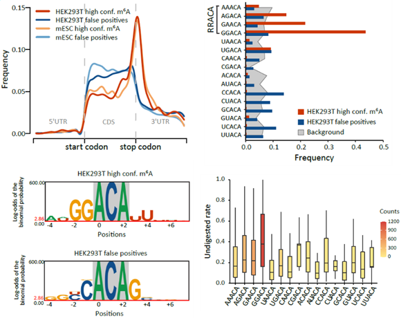 ��ҳ|ng������Ϸ�й����Źٷ���վ