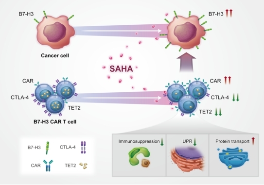 ��ҳ|ng������Ϸ�й����Źٷ���վ