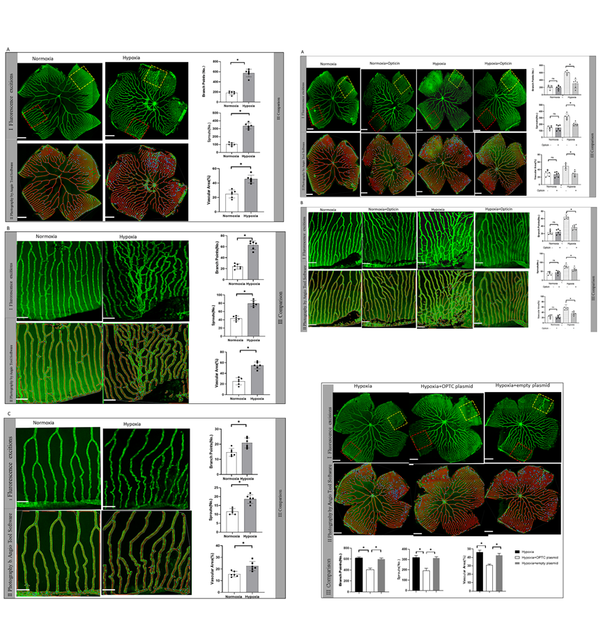 ��ҳ|ng������Ϸ�й����Źٷ���վ