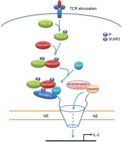 ��ҳ|ng������Ϸ�й����Źٷ���վ