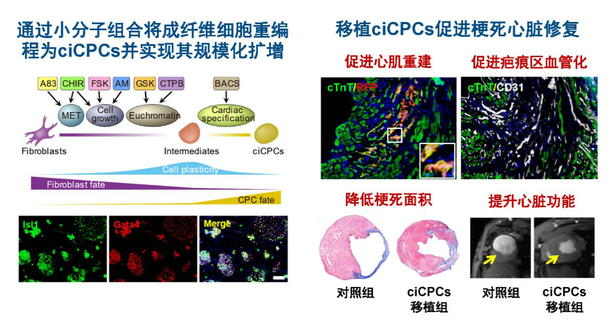 ��ҳ|ng������Ϸ�й����Źٷ���վ