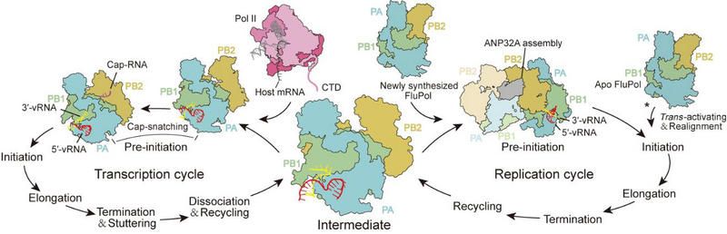 E0B6D70B90F8F71A0D769978B13_755E57F9_9FA4 E0B6D70B90F8F71A0D769978B13_755E57F9_9FA4